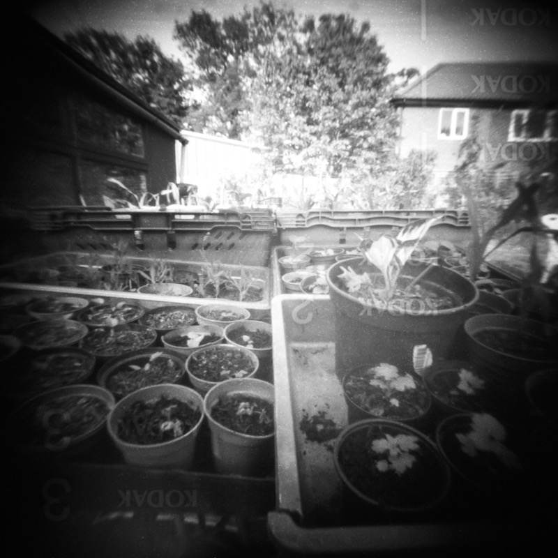 DC Pinhole